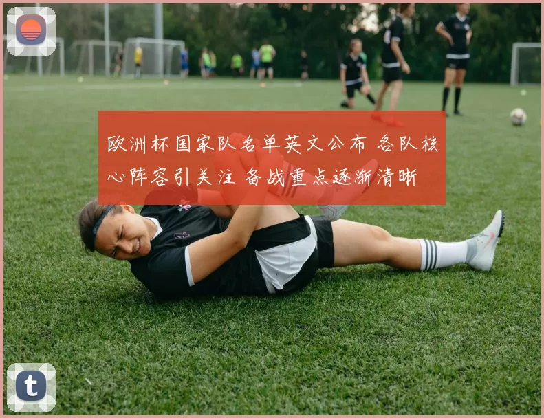 欧洲杯国家队名单英文公布 各队核心阵容引关注 备战重点逐渐清晰