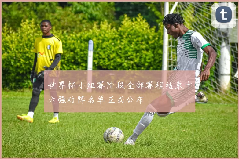 世界杯小组赛阶段全部赛程结束十六强对阵名单正式公布