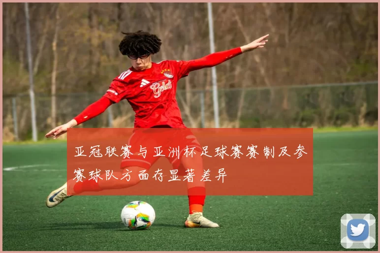 亚冠联赛与亚洲杯足球赛赛制及参赛球队方面存显著差异