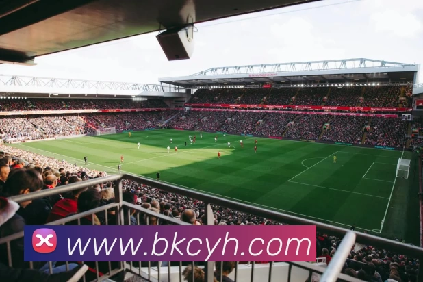 多媒体互动体验